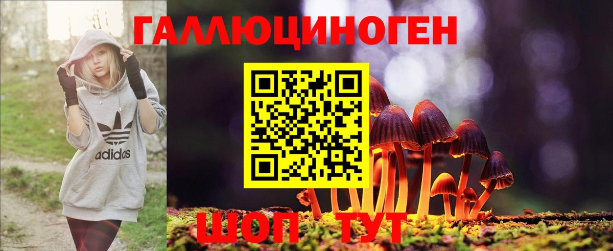 Псилоцибиновые грибы MAGIC MUSHROOMS  Вход с VPN  Псилоцибиновые грибы прущие грибы  Артёмовский 
